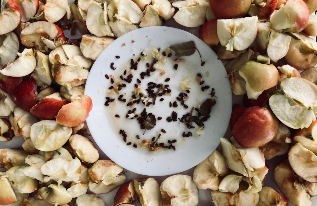 Sen o gąsienicy / Dream about the Caterpillar,&nbsp;2024